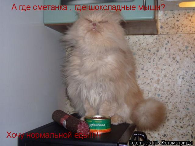 Котоматрица: А где сметанка , где шоколадные мыши?   Хочу нормальной еды!!!!!