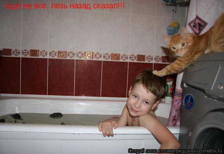 Котоматрица: ещё не всё, лезь назад сказал!!!