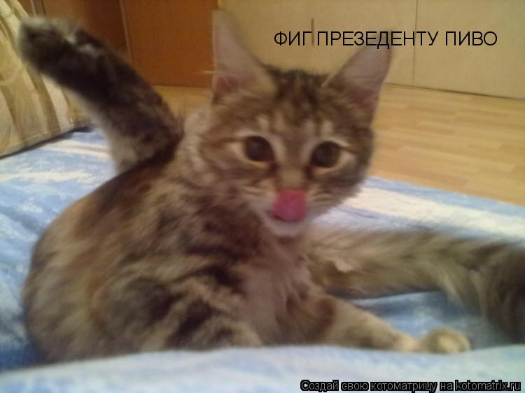 Котоматрица: ФИГ ПРЕЗЕДЕНТУ ПИВО