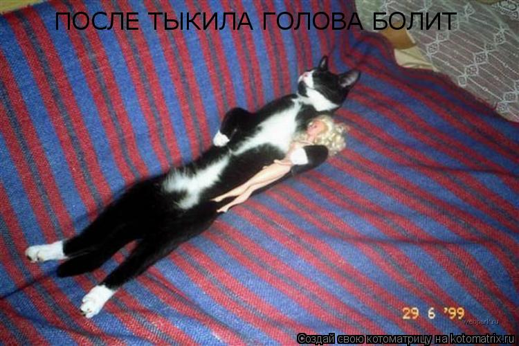 Котоматрица: ПОСЛЕ ТЫКИЛА ГОЛОВА БОЛИТ
