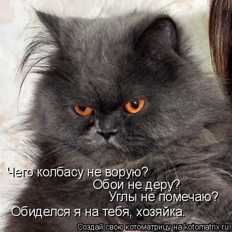Котоматрица: Чего колбасу не ворую? Обои не деру? Углы не помечаю? Обиделся я на тебя, хозяйка.