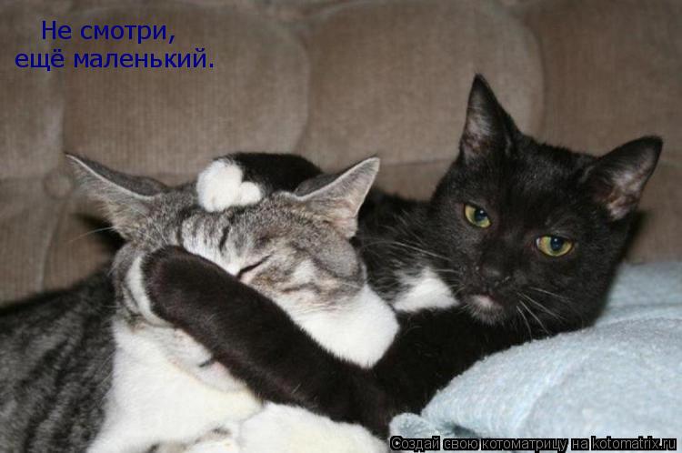 Котоматрица: Не смотри, ещё маленький.