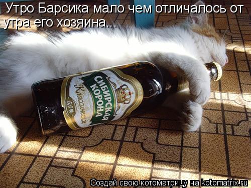Котоматрица: Утро Барсика мало чем отличалось от утра его хозяина...