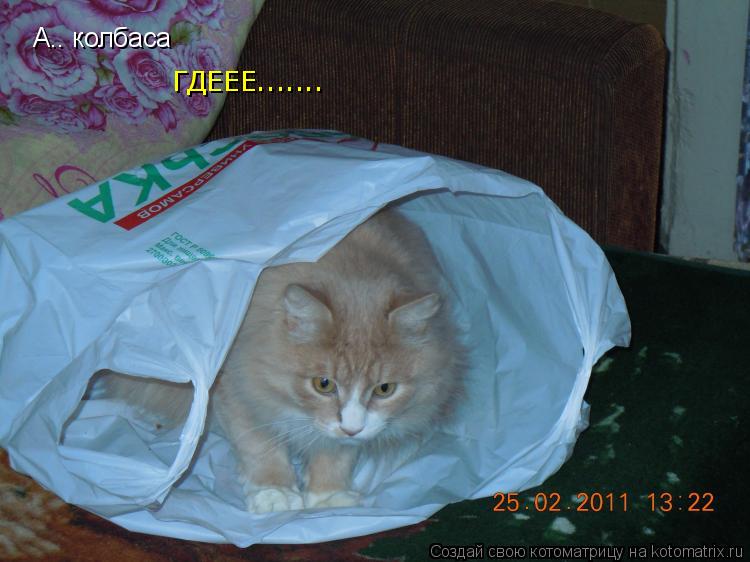 Котоматрица: А.. колбаса А.. колбаса ГДЕЕЕ.......