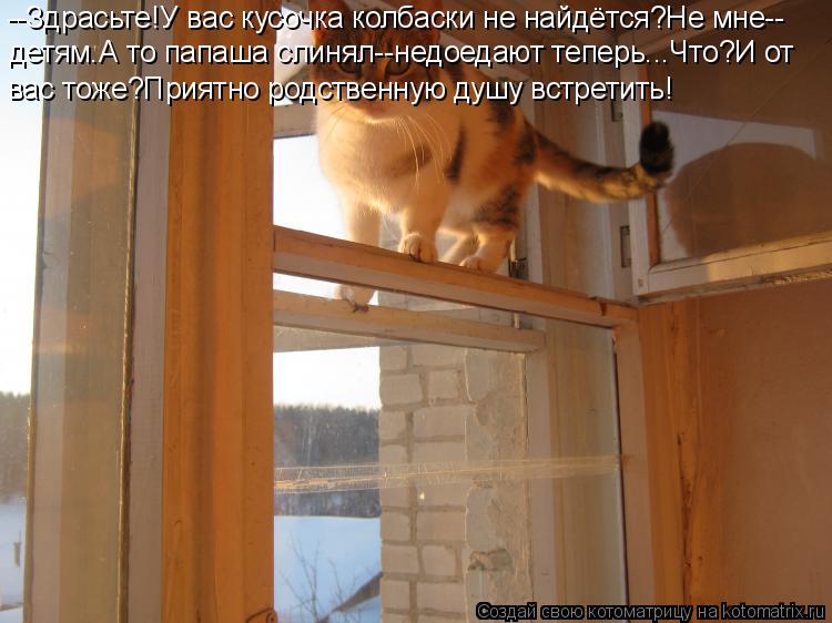 Котоматрица: --Здрасьте!У вас кусочка колбаски не найдётся?Не мне-- детям.А то папаша слинял--недоедают теперь...Что?И от вас тоже?Приятно родственную душу 
