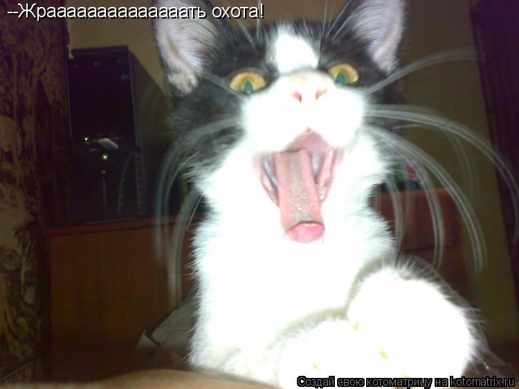 Котоматрица: --Жраааааааааааааать охота!