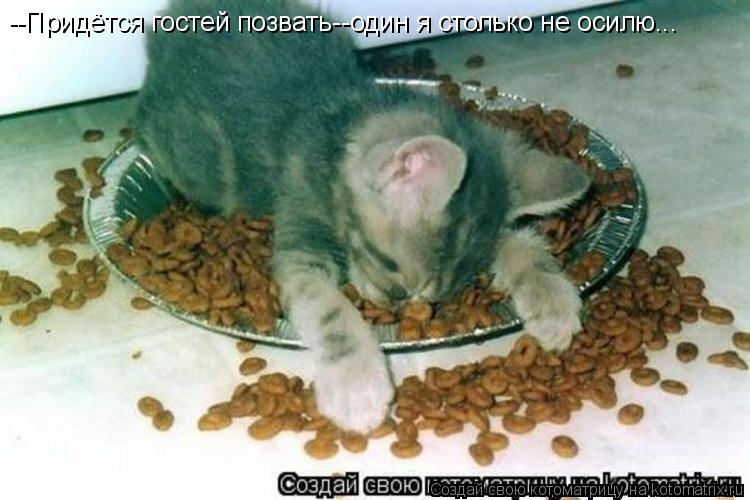 --Придётся гостей позвать--один я столько не осилю...... Котоматрица: --Придётся гостей позвать--один я столько не осилю...