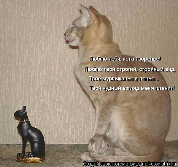 Твой чудный взгляд меня пленит! Твоё мурлыканье и пенье... Люблю твой строгий, стройный вид, Люблю те... Котоматрица: Твой чудный взгляд меня пленит! Твоё мурлыканье и пенье... Люблю твой строгий, стройный вид, Люблю тебя, кота творенье!