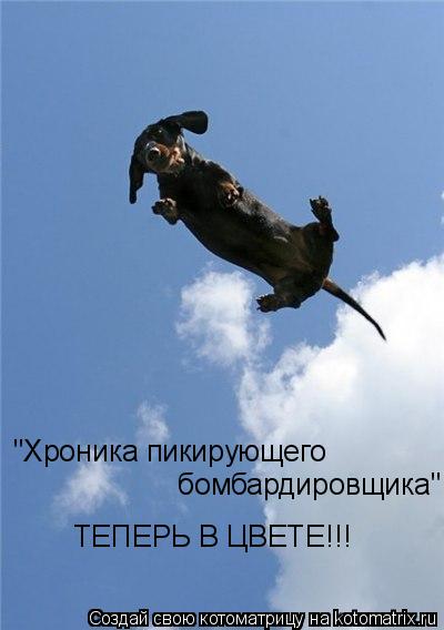 "Хроника пикирующего бомбардировщика" ТЕПЕРЬ В ЦВЕТЕ!!!... Котоматрица: "Хроника пикирующего бомбардировщика" ТЕПЕРЬ В ЦВЕТЕ!!!