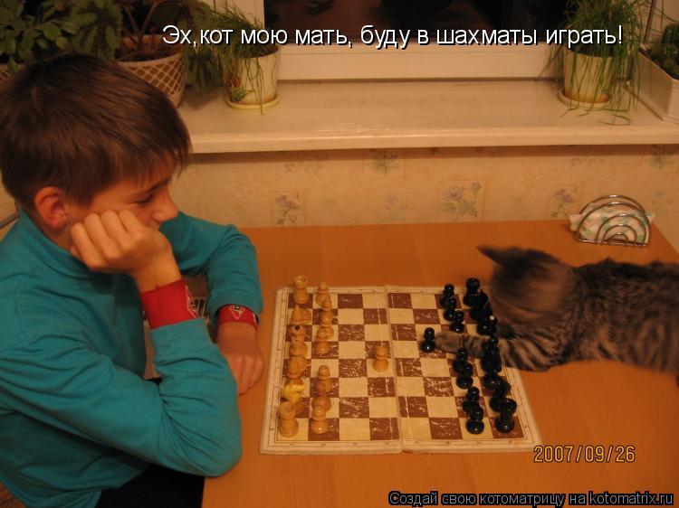 Эх,кот мою мать, буду в шахматы играть!... Котоматрица: Эх,кот мою мать, буду в шахматы играть!