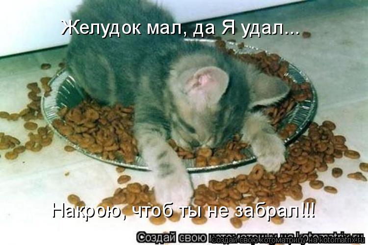 Желудок мал, да Я удал... Накрою, чтоб ты не забрал!!!... Котоматрица: Желудок мал, да Я удал... Накрою, чтоб ты не забрал!!!