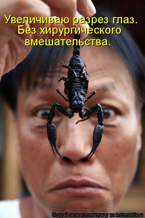 Увеличиваю разрез глаз. Без хирургического вмешательства.... Котоматрица: Увеличиваю разрез глаз. Без хирургического вмешательства.