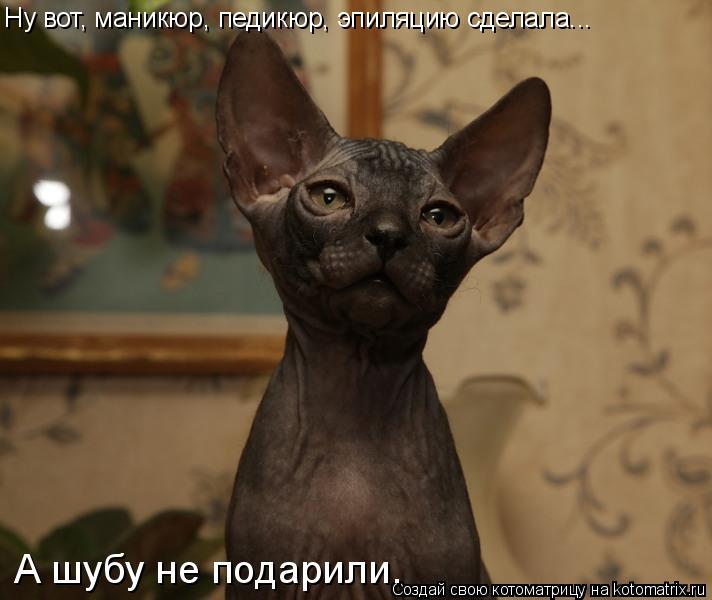 Ну вот, маникюр, педикюр, эпиляцию сделала... А шубу не подарили.... Котоматрица: Ну вот, маникюр, педикюр, эпиляцию сделала... А шубу не подарили.