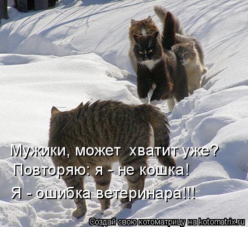 Мужики, может хватит уже? Повторяю: я - не кошка! Я - ошибка ветеринара!!!... Котоматрица: Мужики, может хватит уже? Повторяю: я - не кошка! Я - ошибка ветеринара!!!