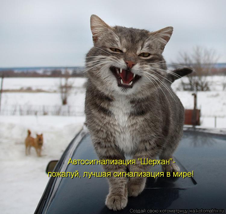 Автосигнализация "Шерхан"- пожалуй, лучшая сигнализация в мире!... Котоматрица: Автосигнализация "Шерхан"- пожалуй, лучшая сигнализация в мире!