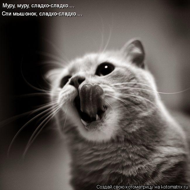 Муру, муру, сладко-сладко.... Спи мышонок, сладко-сладко.... Спи мышонок, сладко-сладко....... Котоматрица: Муру, муру, сладко-сладко.... Спи мышонок, сладко-сладко.... Спи мышонок, сладко-сладко....