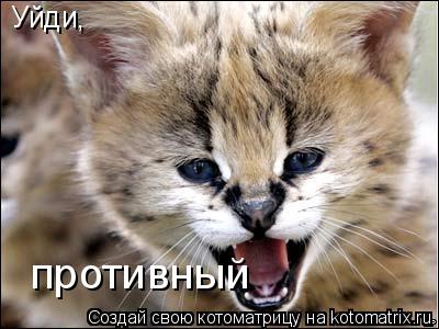 Уйди, противный... Котоматрица: Уйди, противный
