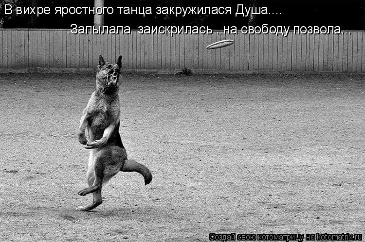 В вихре яростного танца закружилася Душа.... .Запылала, заискрилась ..на свободу позвола...... Котоматрица: В вихре яростного танца закружилася Душа.... .Запылала, заискрилась ..на свободу позвола...