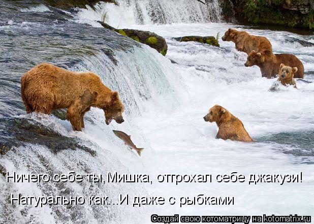Ничего себе ты,Мишка, отгрохал себе джакузи! Натурально как...И даже с рыбками... Котоматрица: Ничего себе ты,Мишка, отгрохал себе джакузи! Натурально как...И даже с рыбками