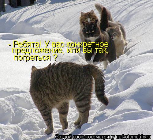 - Ребята! У вас конкретное предложение, или вы так, погреться ?... Котоматрица: - Ребята! У вас конкретное предложение, или вы так, погреться ?