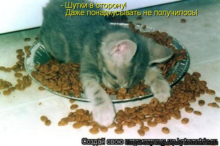- Шутки в сторону! Даже понадкусывать не получилось!... Котоматрица: - Шутки в сторону! Даже понадкусывать не получилось!