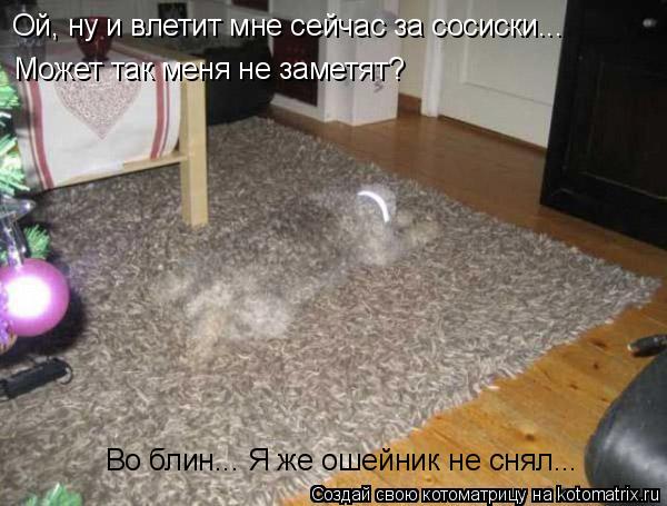 Может так меня не заметят? Во блин... Я же ошейник не снял... Ой, ну и влетит мне сейчас за сосиски..... Котоматрица: Может так меня не заметят? Во блин... Я же ошейник не снял... Ой, ну и влетит мне сейчас за сосиски...