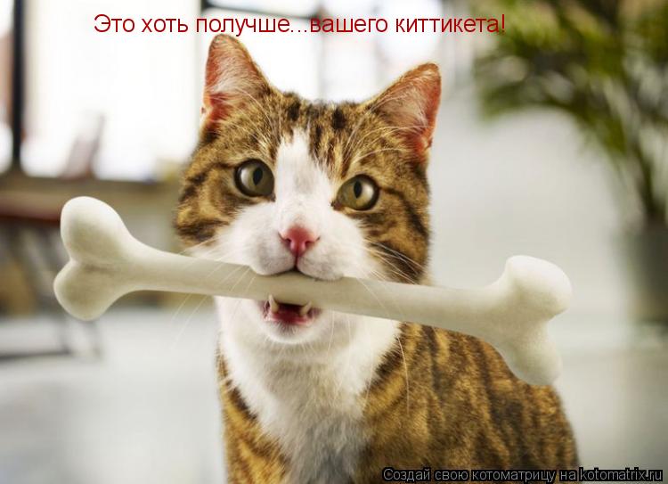 Это хоть получше...вашего киттикета!... Котоматрица: Это хоть получше...вашего киттикета!