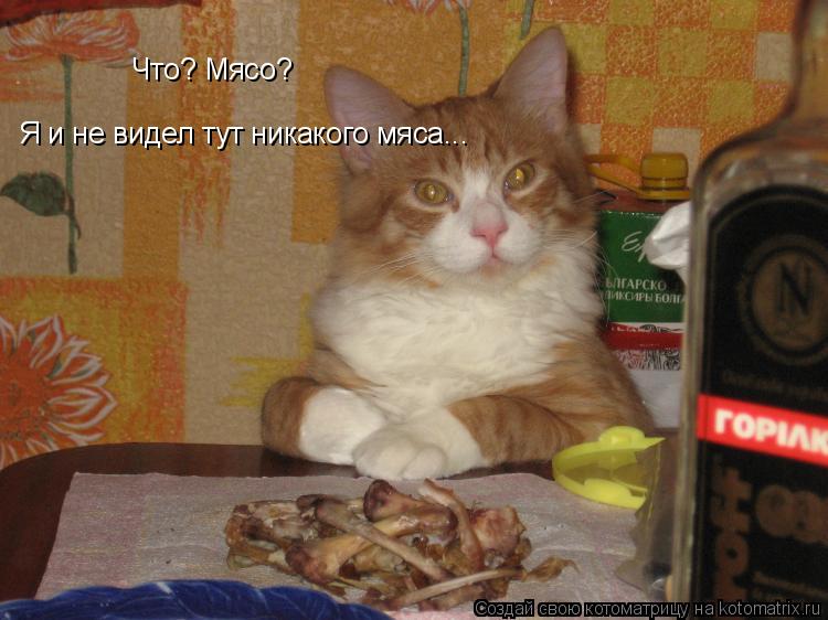 Что? Мясо? Я и не видел тут никакого мяса...... Котоматрица: Что? Мясо? Я и не видел тут никакого мяса...