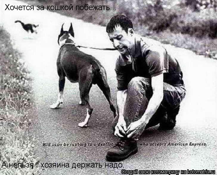 Хочется за кошкой побежать... А нельзя : хозяина держать надо.... Котоматрица: Хочется за кошкой побежать... А нельзя : хозяина держать надо.