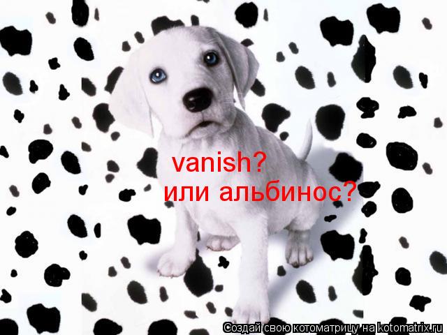 vanish? или альбинос?... Котоматрица: vanish? или альбинос?