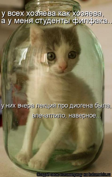 у всех хозяева как хозяева, а у меня студенты филфака... у них вчера лекция про диогена была, впеча... Котоматрица: у всех хозяева как хозяева, а у меня студенты филфака... у них вчера лекция про диогена была, впечатлило, наверное...