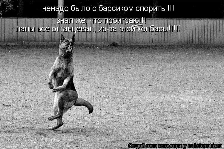 ненадо было с барсиком спорить!!!! знал же, что проиграю!!! лапы все оттанцевал, из-за этой колбасы!!... Котоматрица: ненадо было с барсиком спорить!!!! знал же, что проиграю!!! лапы все оттанцевал, из-за этой колбасы!!!!!