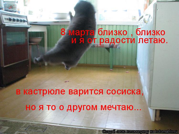 8 марта близко , близко и я от радости летаю. в кастрюле варится сосиска, но я то о другом мечтаю.... Котоматрица: 8 марта близко , близко и я от радости летаю. в кастрюле варится сосиска, но я то о другом мечтаю...