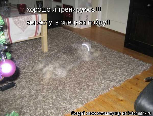 хорошо я тренируюсь!!! вырасту, в спецназ пойду!!... Котоматрица: хорошо я тренируюсь!!! вырасту, в спецназ пойду!!