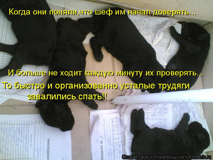 И больше не ходит каждую минуту их проверять... Когда они поняли,что шеф им начал доверять... То быст... Котоматрица: И больше не ходит каждую минуту их проверять... Когда они поняли,что шеф им начал доверять... То быстро и организованно усталые трудяги завал