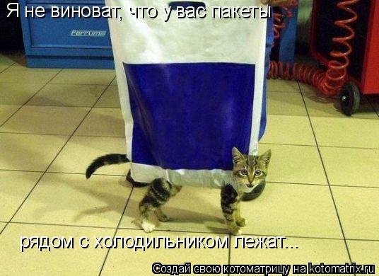 Я не виноват, что у вас пакеты рядом с холодильником лежат...... Котоматрица: Я не виноват, что у вас пакеты рядом с холодильником лежат...