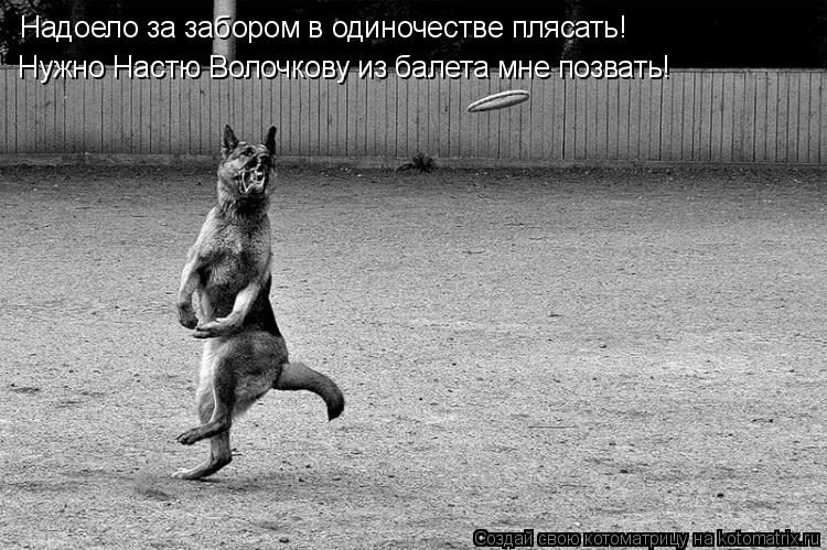 Надоело за забором в одиночестве плясать! Нужно Настю Волочкову из балета мне позвать!... Котоматрица: Надоело за забором в одиночестве плясать! Нужно Настю Волочкову из балета мне позвать!