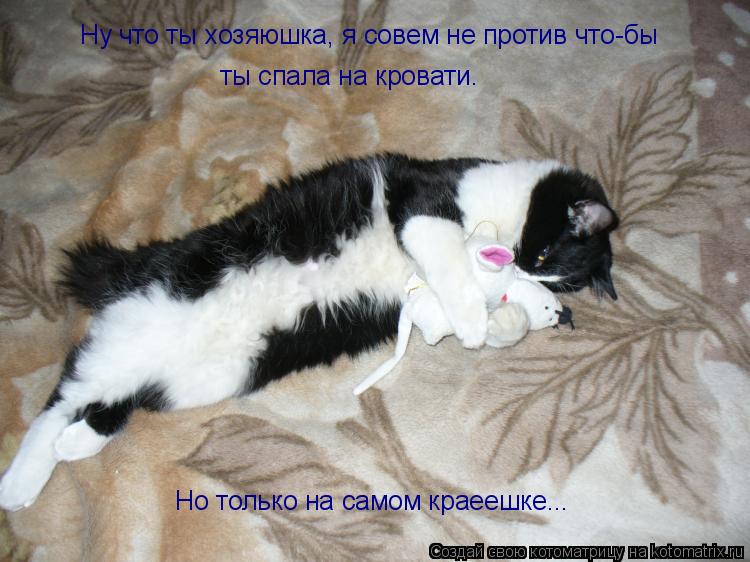 Ну что ты хозяюшка, я совем не против что-бы ты спала на кровати. Но только на самом краеешке...... Котоматрица: Ну что ты хозяюшка, я совем не против что-бы ты спала на кровати. Но только на самом краеешке...