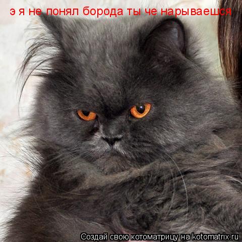 э я не понял борода ты че нарываешся... Котоматрица: э я не понял борода ты че нарываешся
