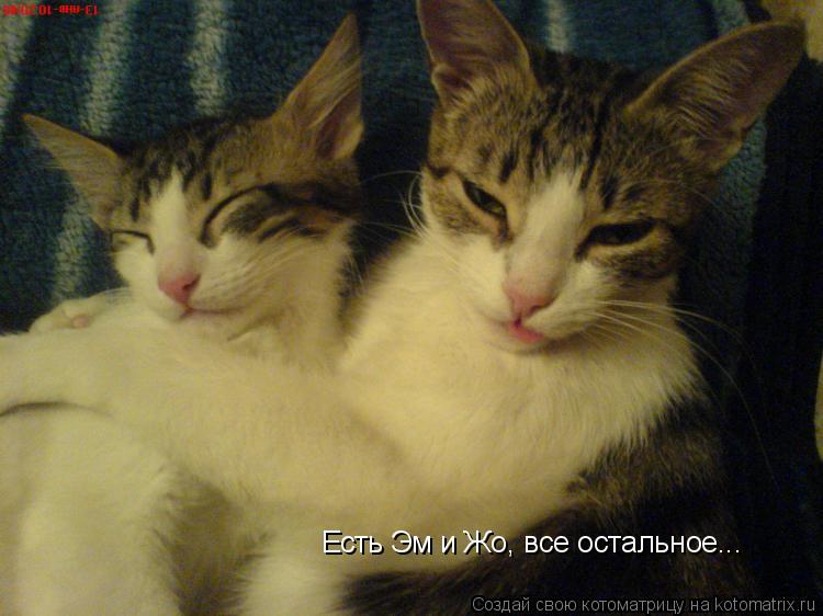 Есть Эм и Жо, все остальное...... Котоматрица: Есть Эм и Жо, все остальное...