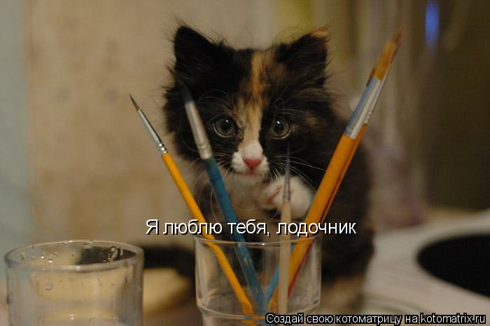 Я люблю тебя, лодочник... Котоматрица: Я люблю тебя, лодочник