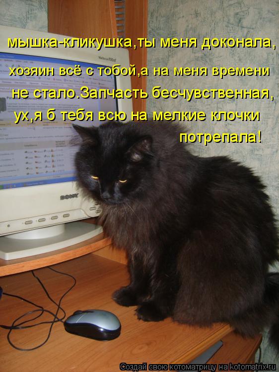 мышка-кликушка,ты меня доконала, хозяин всё с тобой,а на меня времени не стало.Запчасть бесчувственна... Котоматрица: мышка-кликушка,ты меня доконала, хозяин всё с тобой,а на меня времени не стало.Запчасть бесчувственная, ух,я б тебя всю на мелкие клочки потр