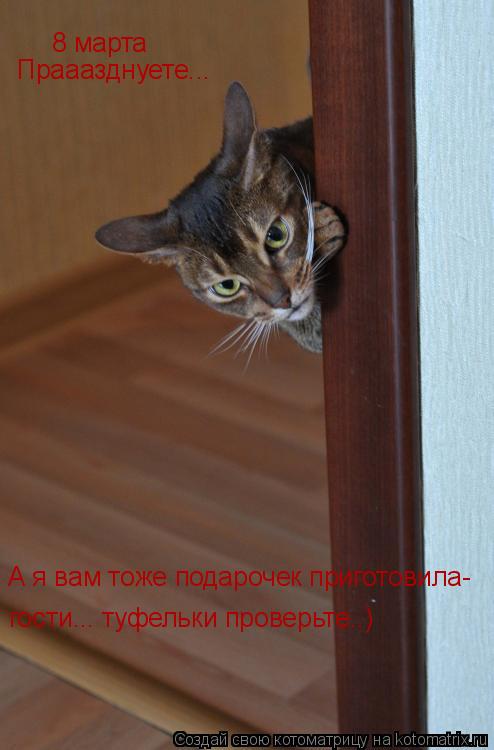 8 марта Прааазднуете... А я вам тоже подарочек приготовила- гости... туфельки проверьте..)... Котоматрица: 8 марта Прааазднуете... А я вам тоже подарочек приготовила- гости... туфельки проверьте..)