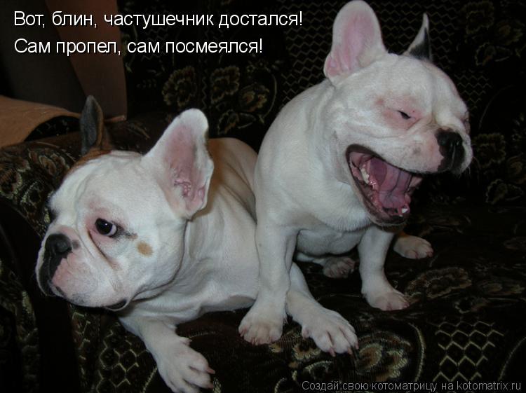 Вот, блин, частушечник достался! Сам пропел, сам посмеялся!... Котоматрица: Вот, блин, частушечник достался! Сам пропел, сам посмеялся!