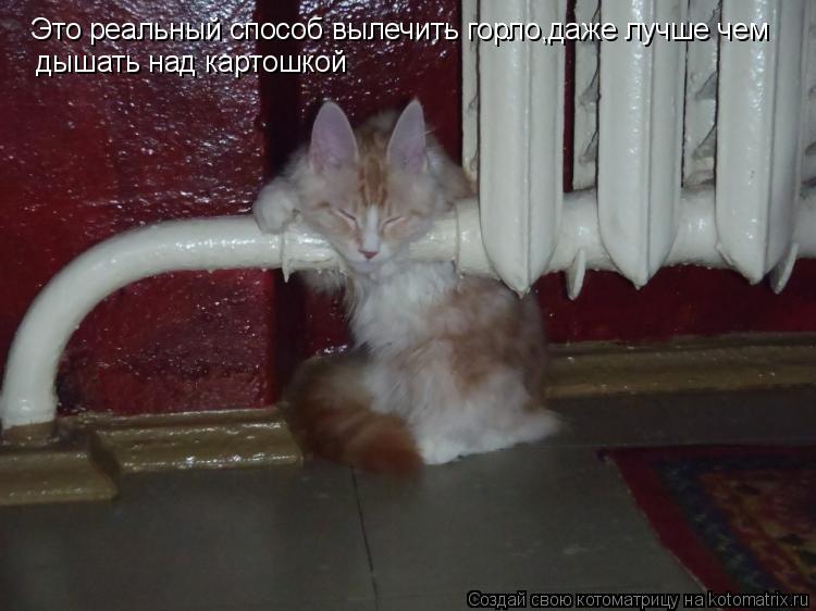 Это реальный способ вылечить горло,даже лучше чем дышать над картошкой... Котоматрица: Это реальный способ вылечить горло,даже лучше чем дышать над картошкой