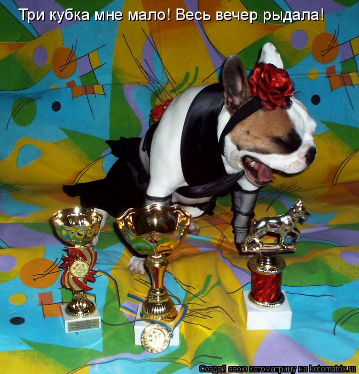 Три кубка мне мало! Весь вечер рыдала!... Котоматрица: Три кубка мне мало! Весь вечер рыдала!