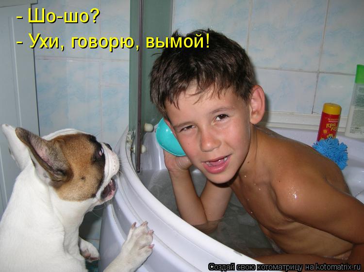 - Шо-шо? - Ухи, говорю, вымой!... Котоматрица: - Шо-шо? - Ухи, говорю, вымой!