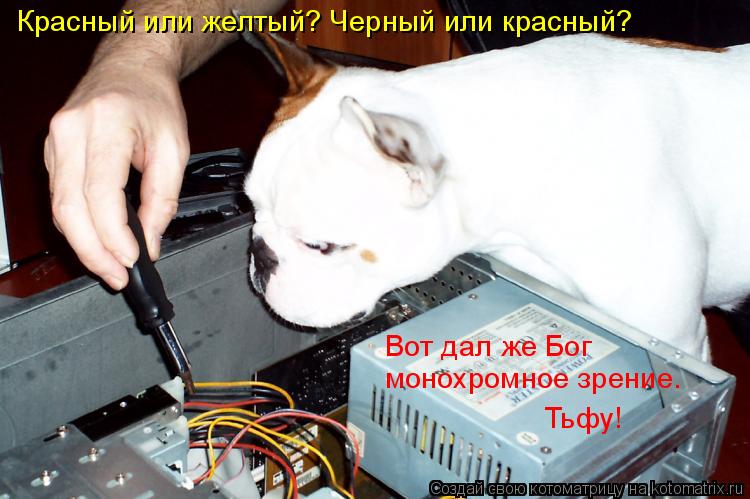 Красный или желтый? Черный или красный? Вот дал же Бог монохромное зрение… Тьфу!... Котоматрица: Красный или желтый? Черный или красный? Вот дал же Бог монохромное зрение… Тьфу!