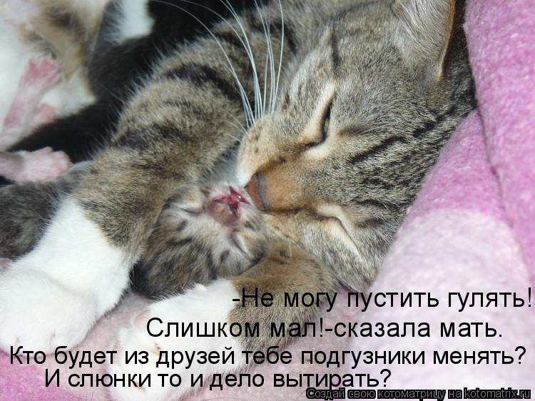 -Не могу пустить гулять! Слишком мал!-сказала мать. Кто будет из друзей тебе подгузники менять? И слю... Котоматрица: -Не могу пустить гулять! Слишком мал!-сказала мать. Кто будет из друзей тебе подгузники менять? И слюнки то и дело вытирать?