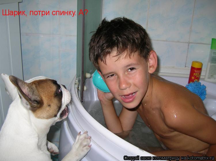 Шарик, потри спинку. А?... Котоматрица: Шарик, потри спинку. А?